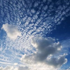 客厅ying乱亲女h小婷y
